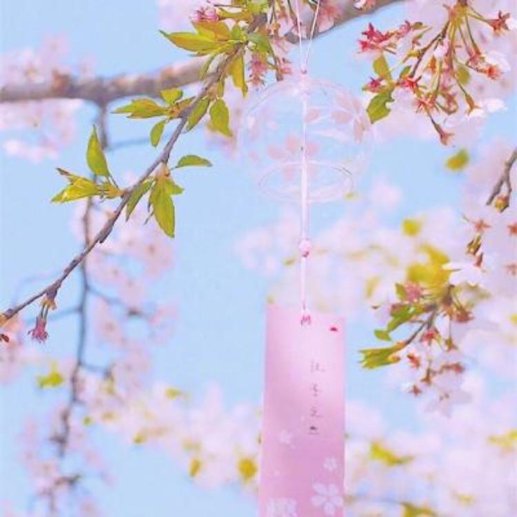 横山广行 - 猪蜜蜜电视剧大全在线观看11 - 网络观影